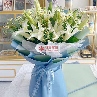 绵阳8支白色多头百合洋甘菊，互倾的思念