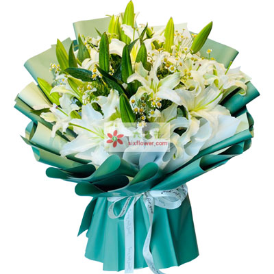 绵阳8支白色多头百合洋甘菊，如潮的思念